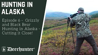 Grizzly and Black Bear Hunting in Alaska  Cutting it Close [upl. by Jodi]