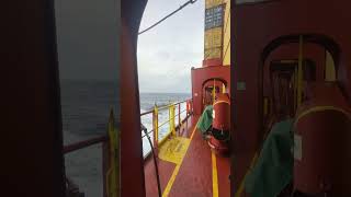 travel mariner ship marinerslife vlog merchantnavyway automobile naval birds navallife [upl. by Dulcine]