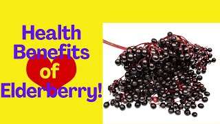 6 Health Benefits of Elderberry [upl. by Unhsiv575]