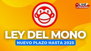 🐒 Ley del mono NUEVO PLAZO hasta 2025 🎉 Ley 20898 ¿Cómo regularizar [upl. by Allevon150]