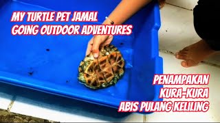 red eared slider turtle jamal going outdoor adventures [upl. by Liagabba]