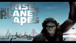 Rise of the Planet of the Apes Cast Interviews [upl. by Cerracchio]