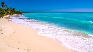 Waves on Saona Island  Relaxing Beach Sounds of the Caribbean Sea For Study Meditation and Sleep [upl. by Nalor]