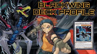 BLACKWING DECK PROFILE MAY 2024 [upl. by Htiaf]