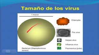 BIOLOGÍA Semana 03 IDEPUNP Septiembre diciembre 2022 [upl. by Gloria16]