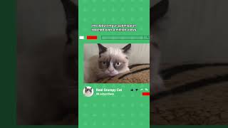 Heres the history behind the internets most iconic and most grumpy cat🐈️ grumpycat memes cat [upl. by Haet]