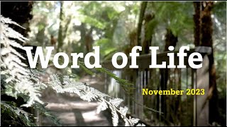 Word of Life November 2023 FocoB [upl. by Laeahcim492]