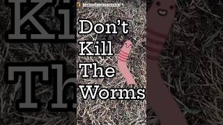 Are Worms good for my lawn [upl. by Ainevuol724]