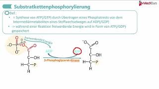 Glykolyse Part 3 [upl. by Enaek423]