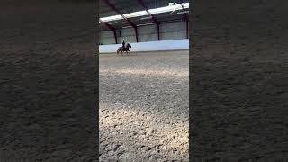 Oktober Video🤍 skridt trav og galop🩷🤍 [upl. by Ytram]