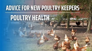 Poultry Health [upl. by Alor470]