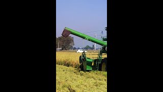 John Deere W70 Harvester [upl. by Noswal727]