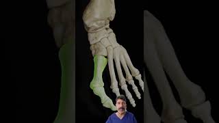 Juanetes o Hallux valgus muy visual 😍FisiolutionProfesional [upl. by Eolcin]