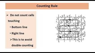 Total Red Blood Cell Count total RBC count by using Hemocytometer  Neubaur chamber [upl. by Shanda]