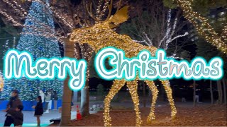 クリスマス イルミネーション Christmas Lights 天神中央公園 アクロス福岡 Fukuoka Japan [upl. by Seitz]