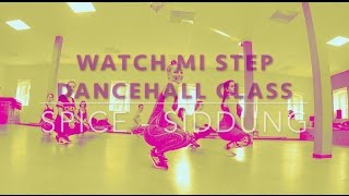 Siddung Spice  Dancehall Queen Style Workshop Leipzig  October 2016 [upl. by Hatty]