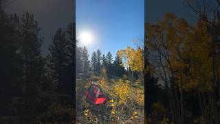 ￼Gordon Gulch camping fall mountains beautiful camping wildlife colors trees colorado yew [upl. by Arrim]