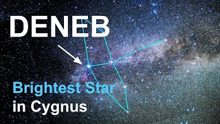 Deneb Brightest Star in Cygnus the Swan Constellation [upl. by Torie]