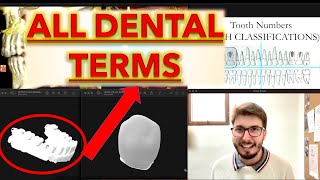 ALL Dental Terminology and Tooth Numbering Anatomy Review Crown Parts Surfaces Types of Teeth [upl. by Melborn]