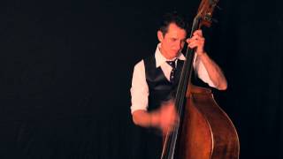 Double Bass upright bass Contrebasse Blues by Stephane Barral [upl. by Belda]