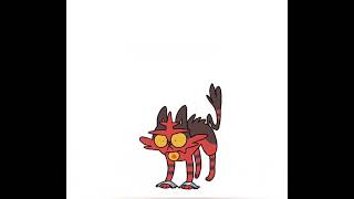 Litten funny evolution [upl. by Baudoin]