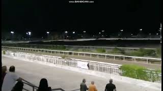 horse race at nicosia race club03 [upl. by Notsle]