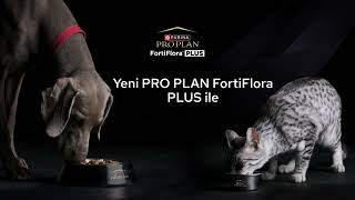 Probiyotik ve prebiyotik içeren özel formüllü Pro Plan FortiFlora Plus [upl. by Mundford123]