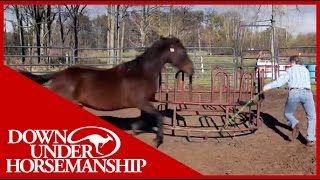 Clinton Anderson Presents Running Scared Training An Aggressive Horse [upl. by Adorl]