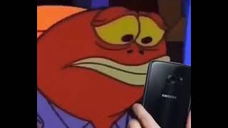 Spongebob fish looking at his phone [upl. by Lodnar184]