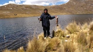 Pesca Deportiva  Trucha Gigante en Junín  Anzuelo Perú Internacional [upl. by Ettessil836]