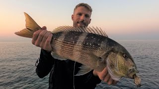 SHORE JIGGING amp DEEP SPINNING  A caccia di dentici  Hunting for snappers [upl. by Hgalehs]