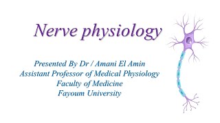 Nerve Physiology L5 [upl. by Pet164]