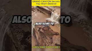 GRAND CANYON Secrets You Wont Believe facts [upl. by Araiek]