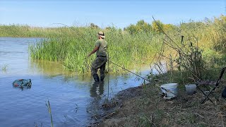 РЫБАЛКА НА ДОНКУ И ПОПЛАВОК В АСТРАХАНИ ГУСТЕРА КРАСНОПЁРКА КАРАСЬ Это идеальное место [upl. by Jolee]