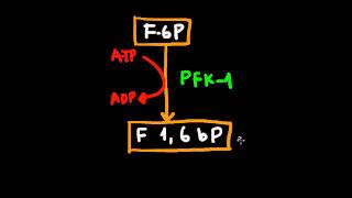 Glicolisis  desde Glucosa hasta F 16 BiFosfato parte 1 [upl. by Jacquie]