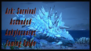 Ankylosaurus Taming Guide  Ark Survival Ascended [upl. by Collier]