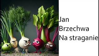 Jan Brzechwa  Na straganie 2 [upl. by Esinert]