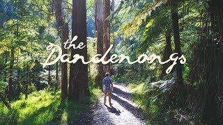 Hiking the Dandenong Ranges National Park  Melbourne Australia [upl. by Bowrah736]