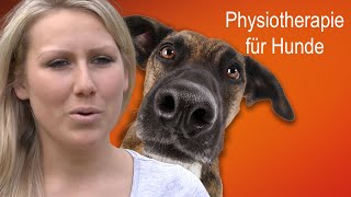 Physiotherapie für Hunde  Praxis Pfote [upl. by Jorry]