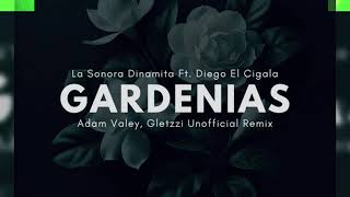 Diego El Cigala  Dos Gardenias Adam Valey Gletzzi Unofficial Remix  Afro House [upl. by Jacintha]