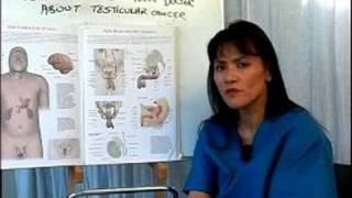 How to Perform a Testicular Cancer Exam  What is Testicular Cancer [upl. by Kerwinn]