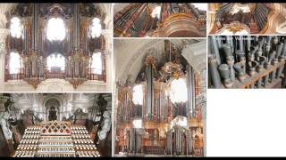 Cuckoo Capriccio  The 1750 Joseph Gabler organ at the Basilica in Weingarten [upl. by Nomolas]