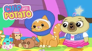 Chip and Potato  Diversión familiar  Dibujos animados para niños  Mira más en Netflix [upl. by Anirbaz]