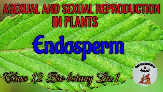 Endosperm in Tamil  Asexual and sexual reproduction in plants [upl. by Felten]