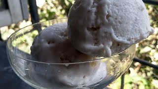 Tender Coconut Icecream  No Eggs  No Ice cream maker [upl. by Uliram385]