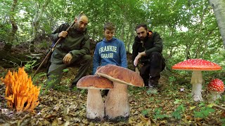 Centinaia di PORCINI i FUNGHI della faggeta [upl. by Sakovich]