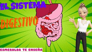 El Sistema Digestivo  El Cuerpo Humano  Esmeralda Te Enseña [upl. by Krysta]