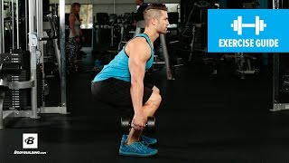 How to Dumbbell Squat  Mike Hildebrandt [upl. by Sehcaep473]