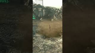 Gieger Counter Sound Effect fallout fallout3 lonewanderer soundeffects relaxing satisfying [upl. by Nelsen]