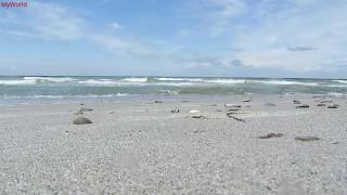 1 h Meeresrauschen Entspannung Wellenrauschen Wellen Strand Meer Ostsee HD [upl. by Eldridge87]